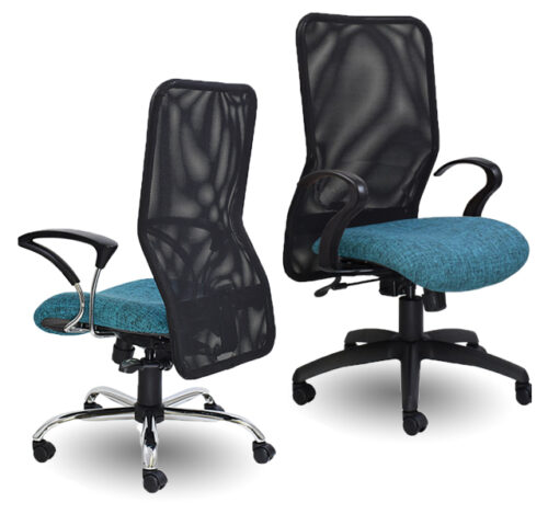 Lisa Executive Range