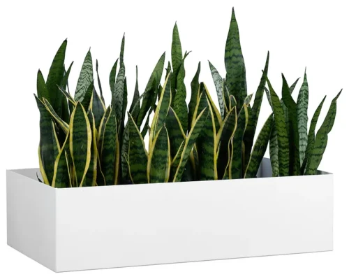 Cabinet Trough Planter - Image 3