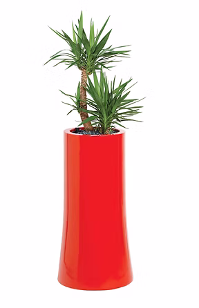 Nurture Planter