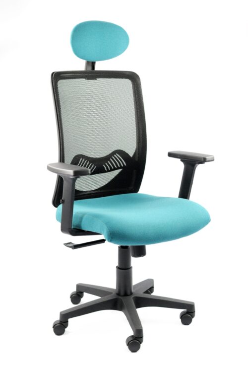 Rumi High Back Chair