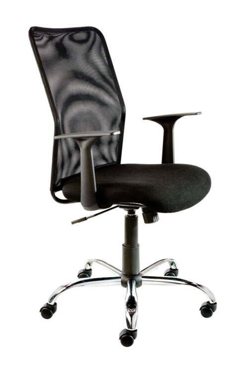 Econet High-Back Chair